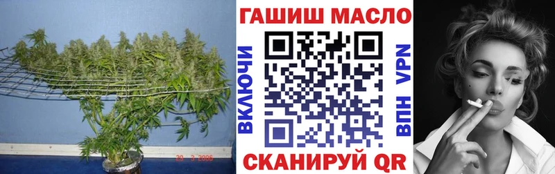 Дистиллят ТГК THC oil  kraken зеркало  Петровск-Забайкальский  купить  