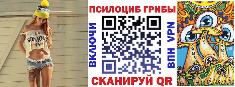 kraken рабочий сайт  Петровск-Забайкальский  Галлюциногенные грибы Cubensis 
